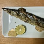 【月10万円配当計画、配当金入りました＃029】大和コンピューター（3816）編｜スマート農業の未来と「目黒のさんま」